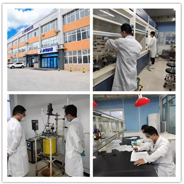 1,2-Diamino-1,2-dicarba-closododecaborane,C2H4B10N2,868382-61-0 suppliers