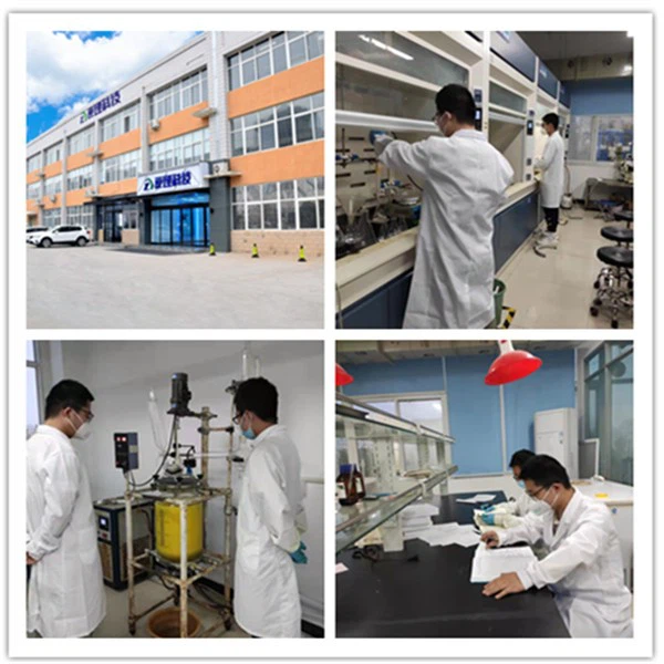 CAS NO:26319-11-9,C4H17B10N.ClH suppliers